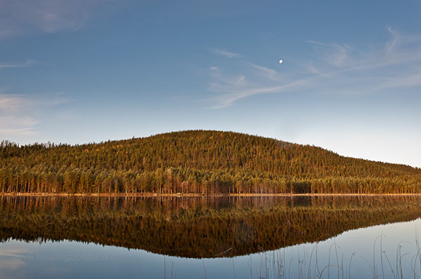 Bursjöbergets Naturreservat
